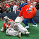 Illustration for article titled Bowl Season Mascot Fight To The Death, Volume 1: Twas The Bowls Before Christmas